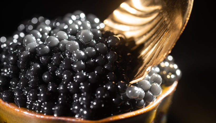 5 Unimaginable Health Benefits of Eating Caviar