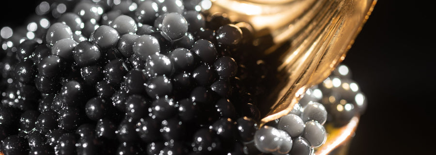 5 Unimaginable Health Benefits of Eating Caviar